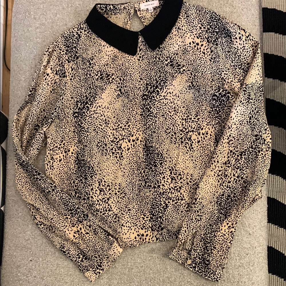 Sunday Best from Aritzia Black and Cream Fitted Blouse with Peter Pan Collar